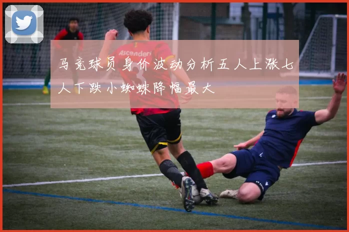 马竞球员身价波动分析五人上涨七人下跌小蜘蛛降幅最大